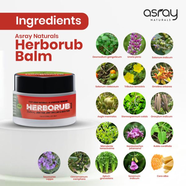 Asray Naturals Herborub Pain Balm 4 - Asray Naturals Herborub Pain Balm